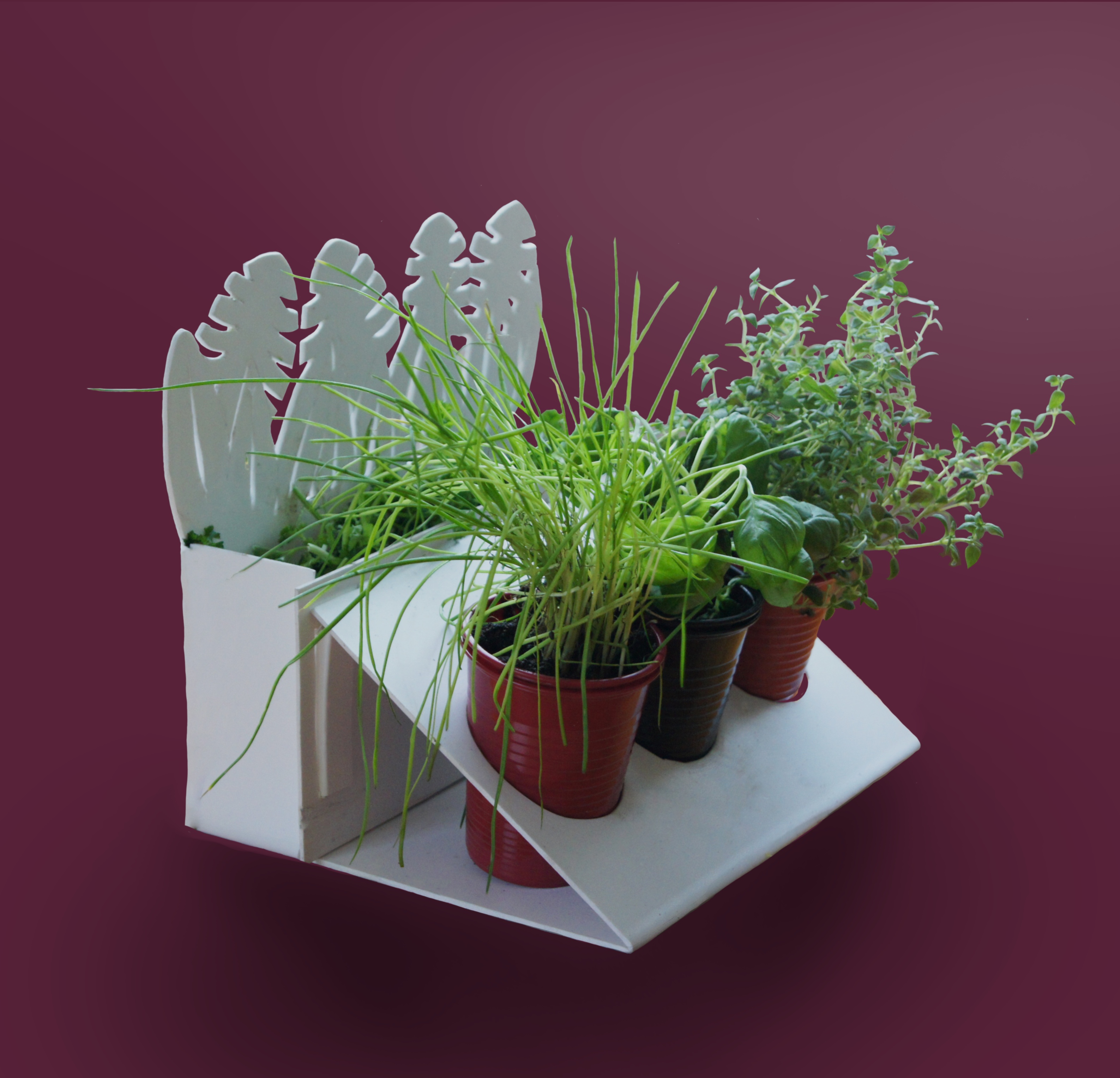 aromatique